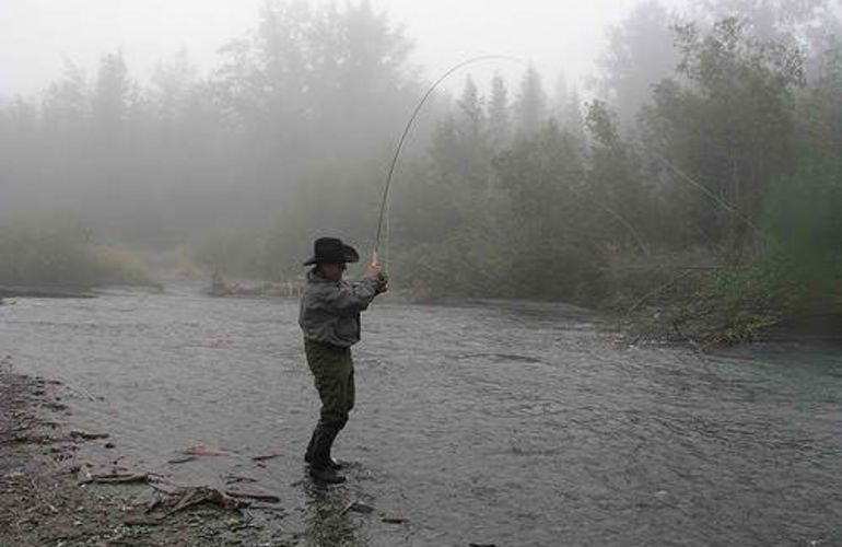 Fishing and Bear Viewing Combination