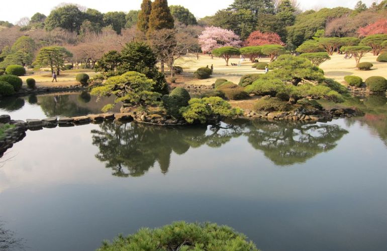 Experience Japan from the Neon Lights of Tokyo to Kyoto's Temples