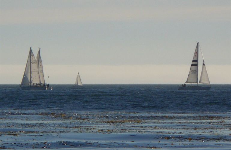Experience the Thrill of Wednesday Night Regatta