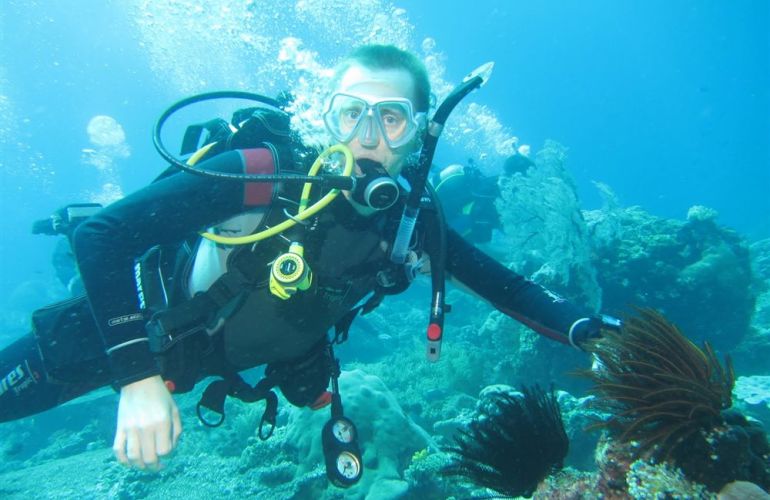 Snorkeling in the Remote Islands of the Coral Triangle - Misool Archipelago