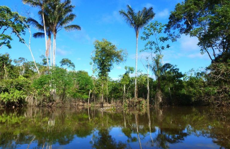 Amazon Riverboat Adventure: 9-Day River Cruise & Wildlife Adventure
