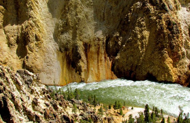 Wyoming Family | Yellowstone/Teton