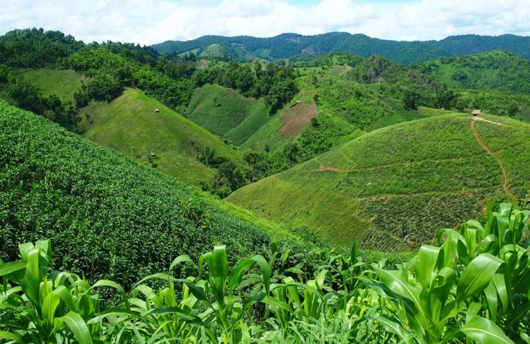 A Cultural Exploration Into the Heart of North Thailand by Bike