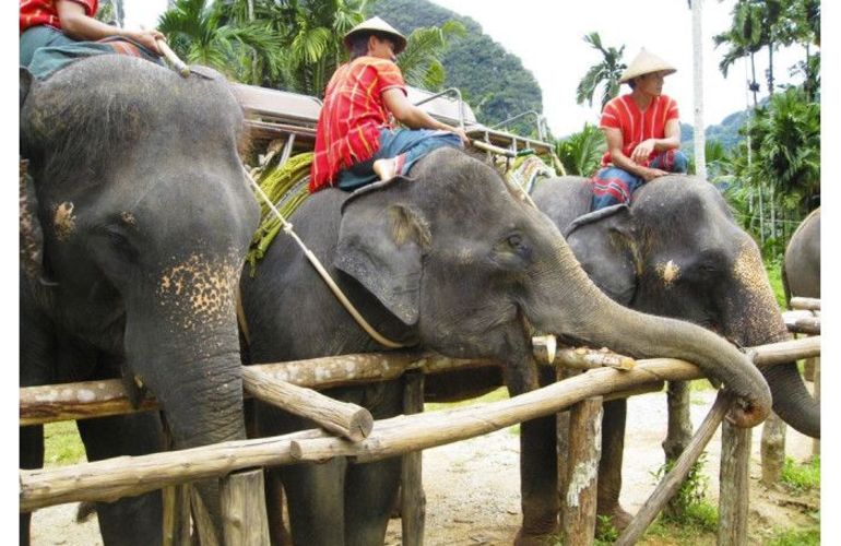 Southern Thailand Sojourn