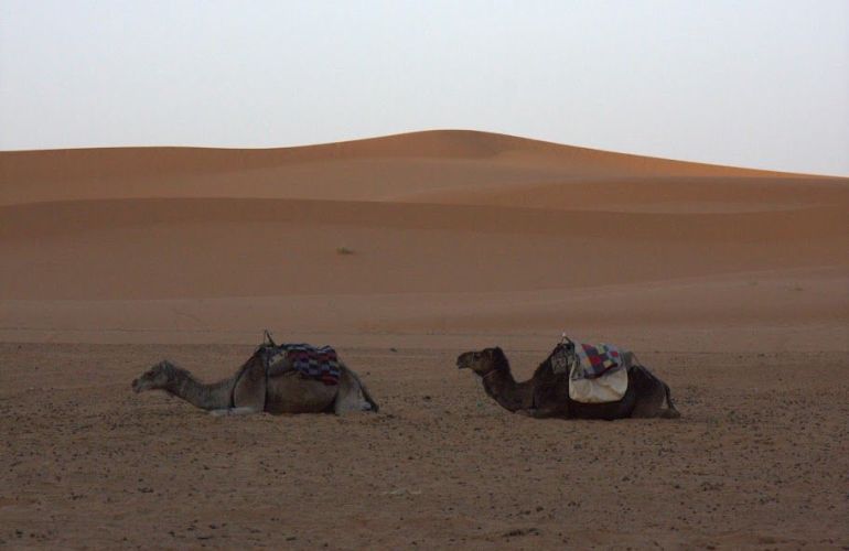 Atlas to the Atlantic - Morocco Family Adventure