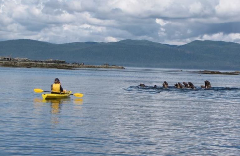 Sail to Haida Gwaii and Queen Charlotte Islands - Island Odyssey 8 Days