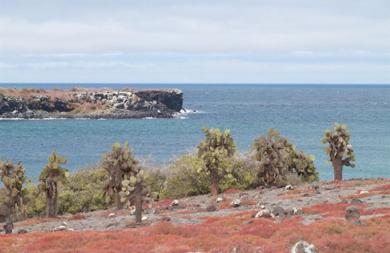 Voyage Galapagos: 7-Day G3 Cruise & Wildlife Adventure in Central Islands