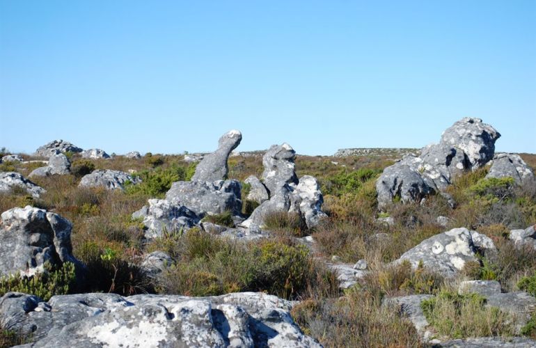 Southern African Circuit: 32-Day Cultural & Wildlife Adventure