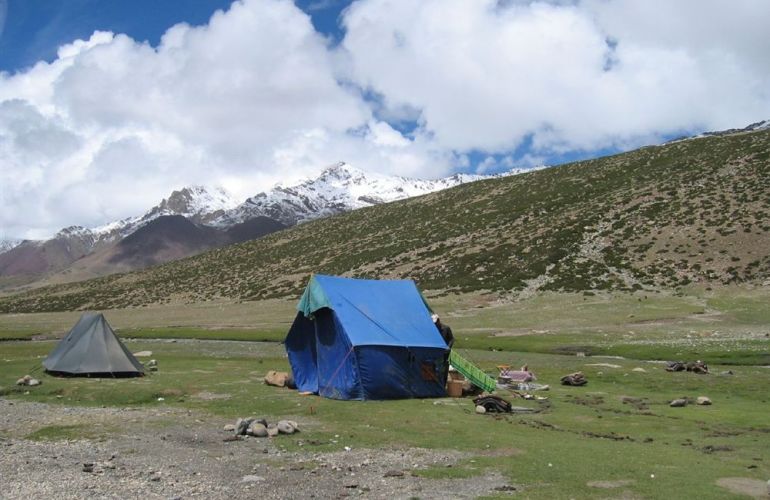The Markha Valley Trek