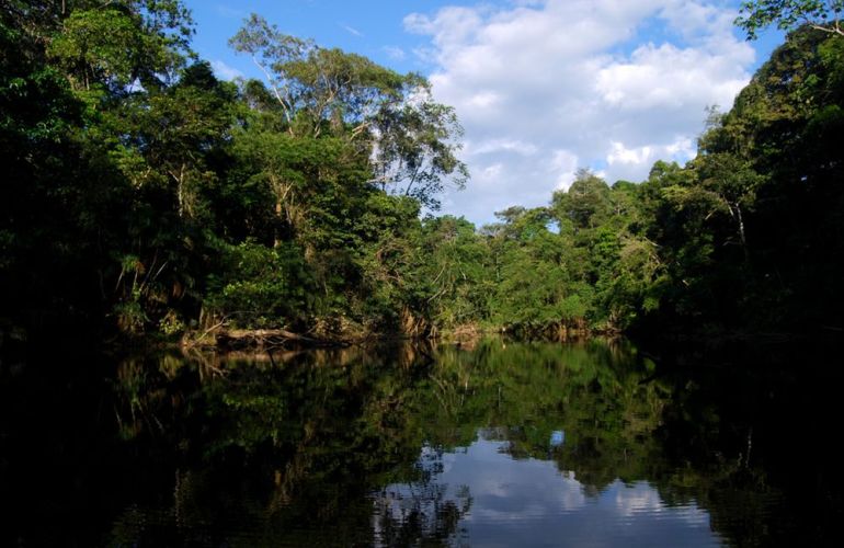 Spend 5 Days Exploring the Amazon of Ecuador