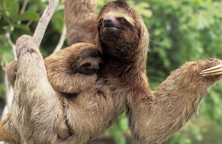 16 Days Costa Rica Adventure