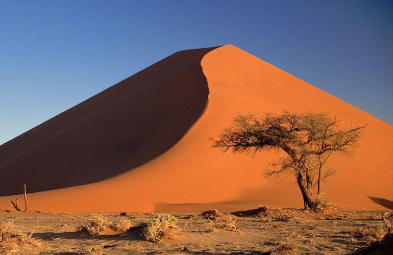 Southern African Circuit: 32-Day Cultural & Wildlife Adventure