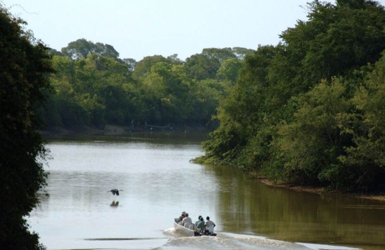 Brazil: 10-Day Cultural Experience