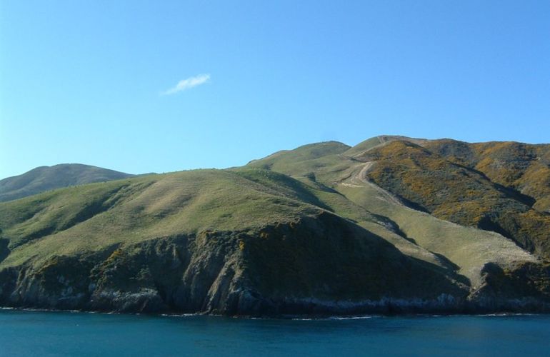 South Island Adventure in New Zealand: A Hiker’s Dream Journey in Nature’s Wonderland