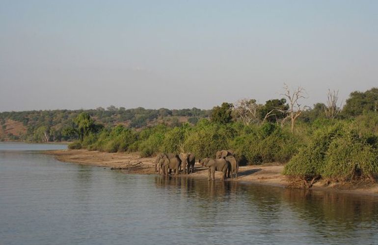 Explore the Landscapes and Wildlife of Botswana Elephant Trail