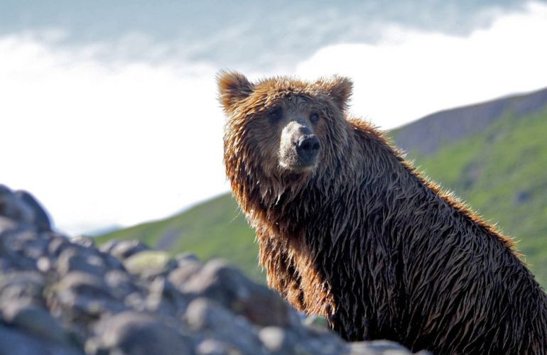 Alaska Family Fishing Adventure
