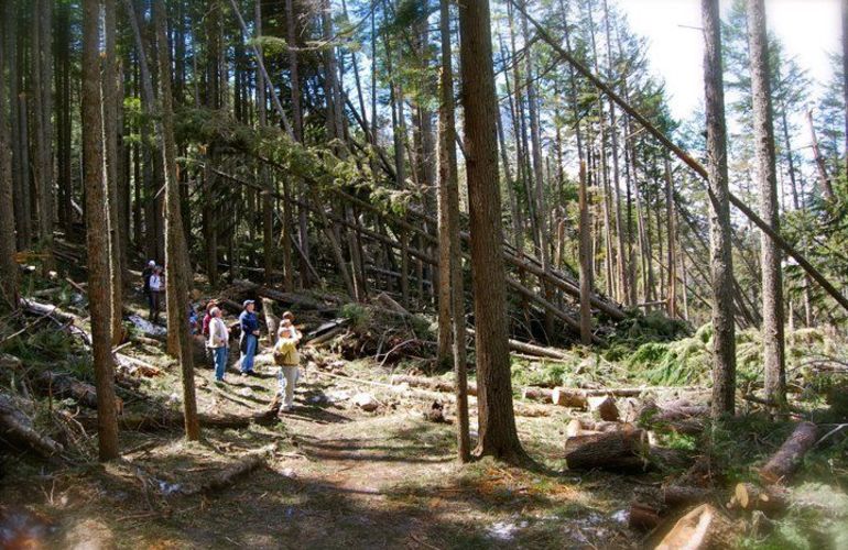 5 Days Boomer Backpack in Glacier National Park, Montana - Special Trip for Seniors