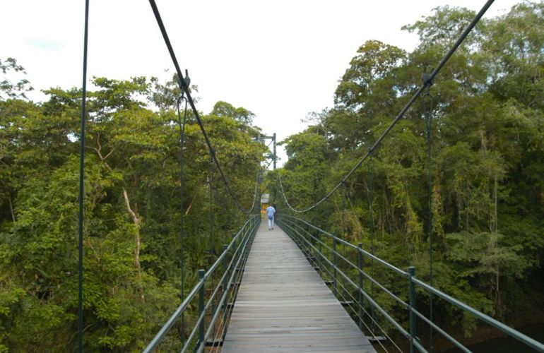 Spend 5 Days Exploring the Amazon of Ecuador