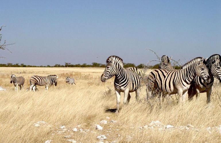 Delta & Dunes (35 Days) Lilongwe to Cape Town