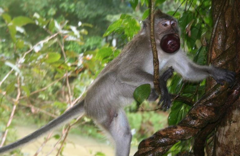 Southern Thailand Sojourn