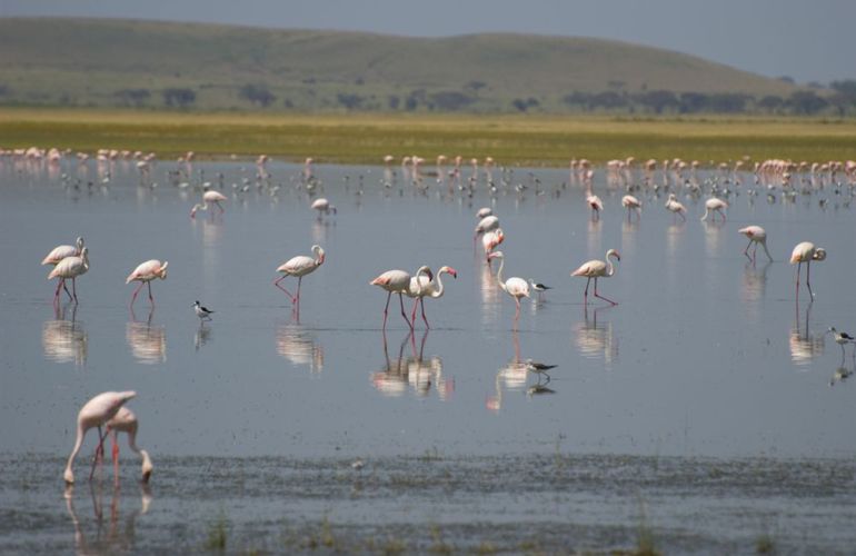 Grand Safari - 15 Day Tour