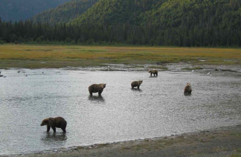 Executive Fishing and Wildlife Safari