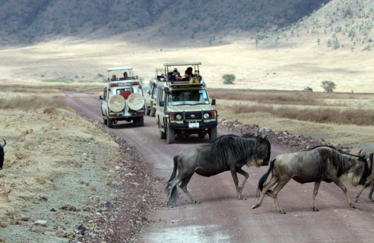 Grand Safari - 15 Day Tour