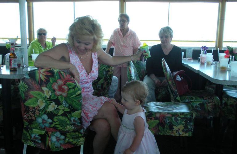 Sightseeing Cruise (Afternoon Sightseeing & Dolphin Watch)