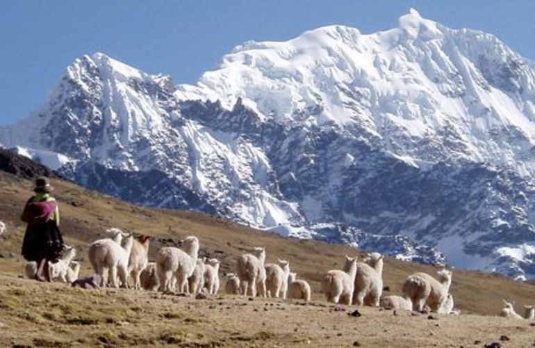 South America: 21-Day Andean Discovery