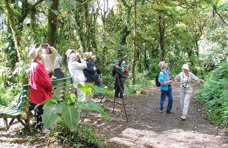 32 Days Central American Journey from Playa del Carmen to San Jose