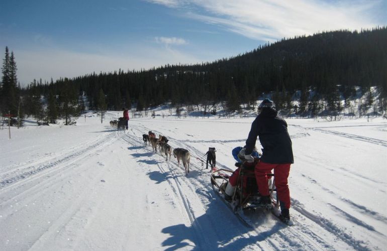 Winter Wonderland - Sweden Family Adventure