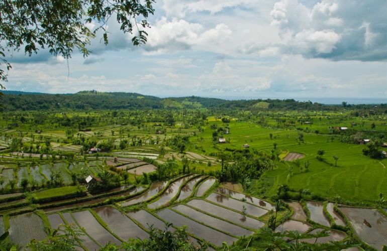 Visit Hindu Temples in Classic Bali