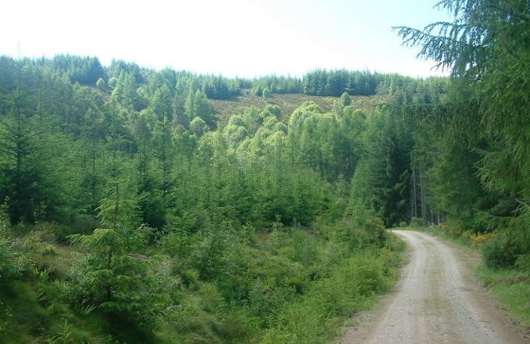 Self-Guided Walking: The Speyside Way