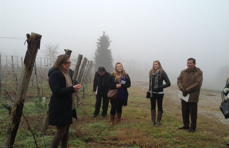 Tuscan Wine Treasures: Chianti, Brunello & Vino Nobile