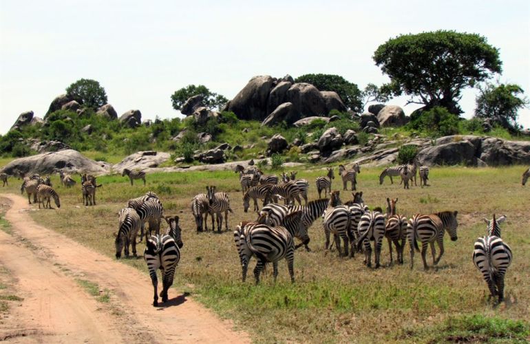Grand Adventurer (75 Days) Nairobi to Cape Town