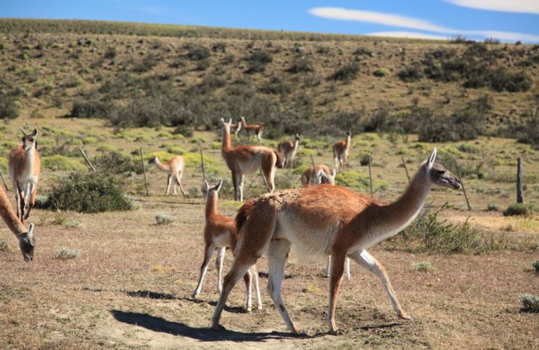 Brazil, Argentina & Chile: 20-Day Cultural & Historical Exploration