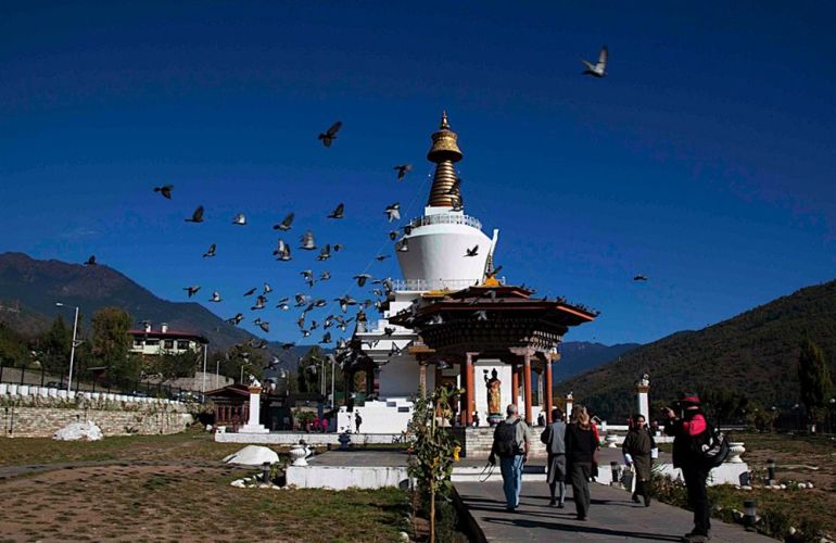 Chomolhari Base Camp Trek