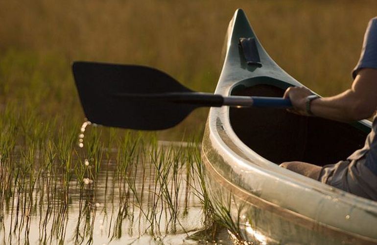 Explore the Landscapes and Wildlife of Botswana Elephant Trail