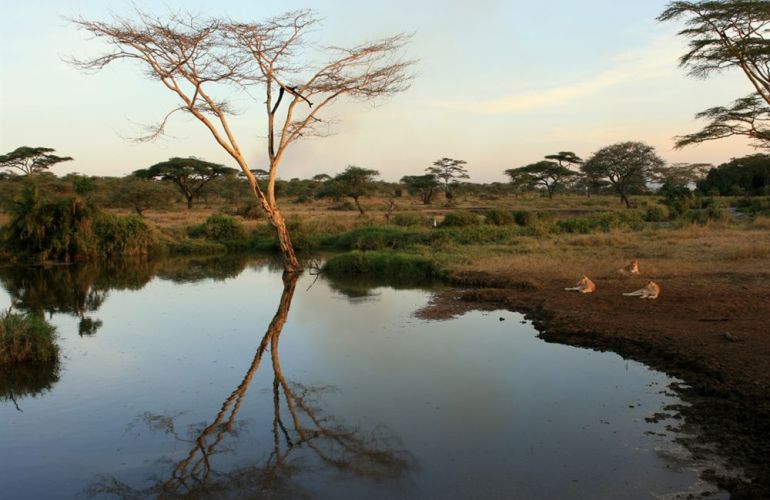 African Culture And Wildlife Viewing on Addis to Zanzibar Adventure