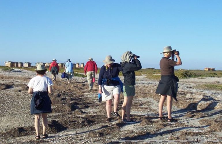 The Extraordinary Whales of Baja