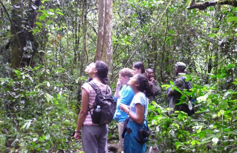 32-Day Wildlife & Cultural Experience in Rwanda, Uganda, Kenya & Tanzania