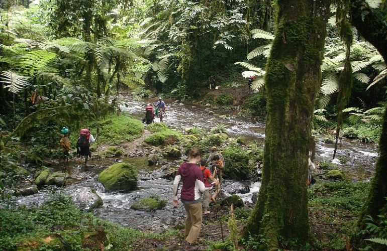 6 Day Gorillas in PNV and Culture in Mgahinga