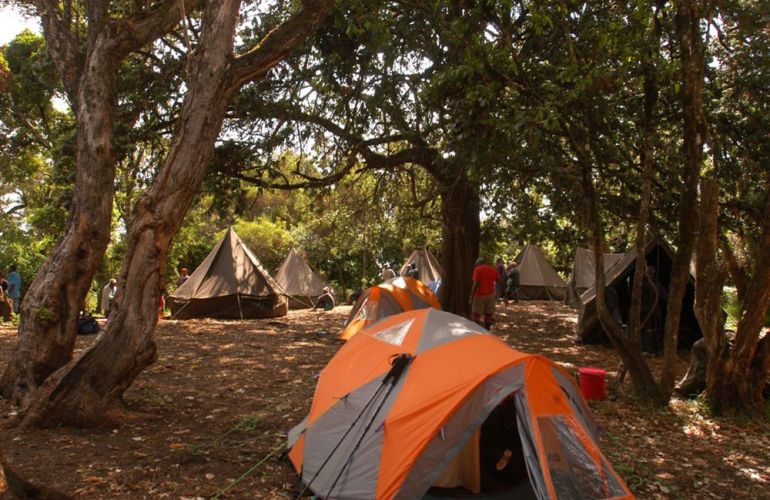 Kilimanjaro Machame Climb & Safari