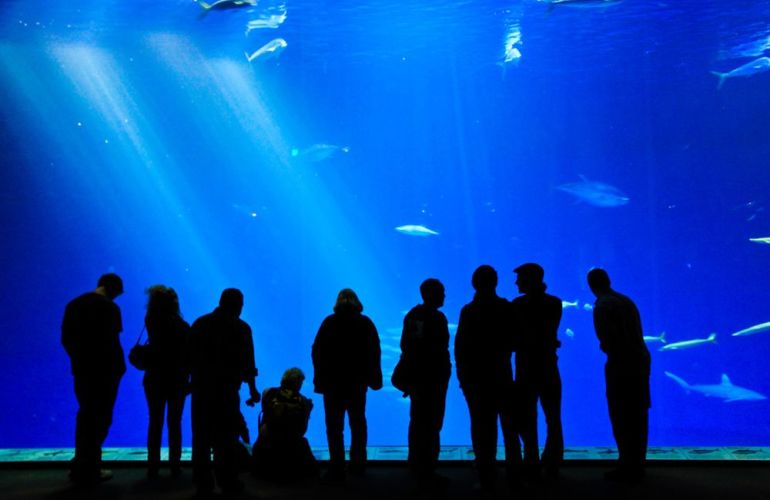 Enjoy A Journey Around Majestic California: The Pacific, Redwoods & Yosemite for 8 Days