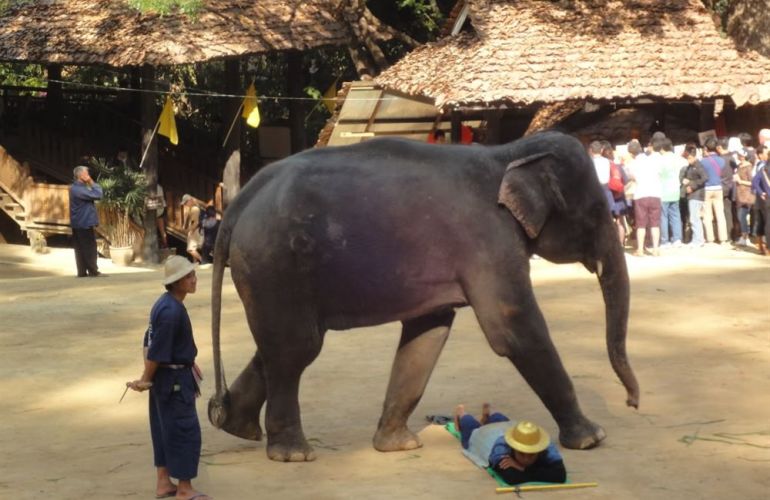 16-Day Cultural & Historical Adventure in Thailand & Laos