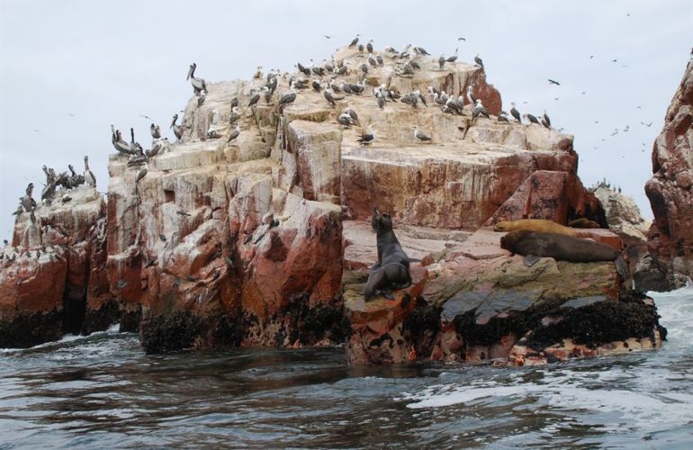 South America: 21-Day Andean Discovery