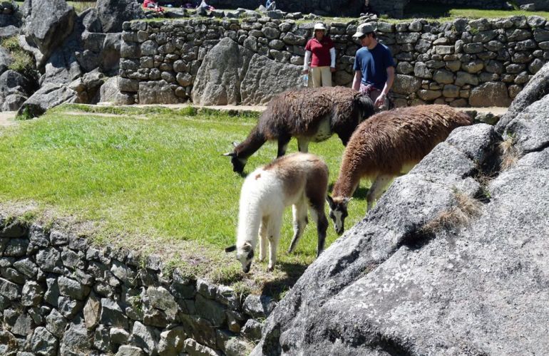 In The Shadow Of Machu Picchu: 10-Day Trekking & Cultural Adventure
