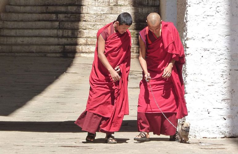 Laya Settlements and Ghasa Trekking Adventure of Bhutan