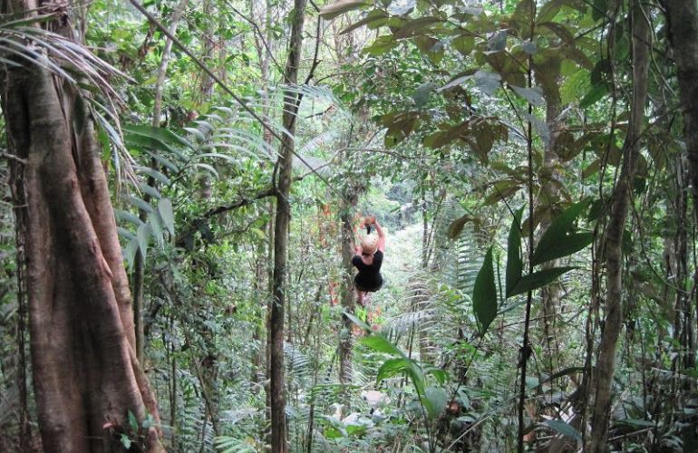 Pacuare Costa Rica Adventure