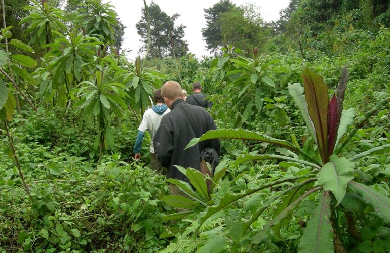 Discover the Cultural Heritage of Uganda, Rwanda & Kenya in this 19-Day Wildlife Adventure